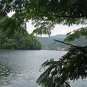 Picture 061